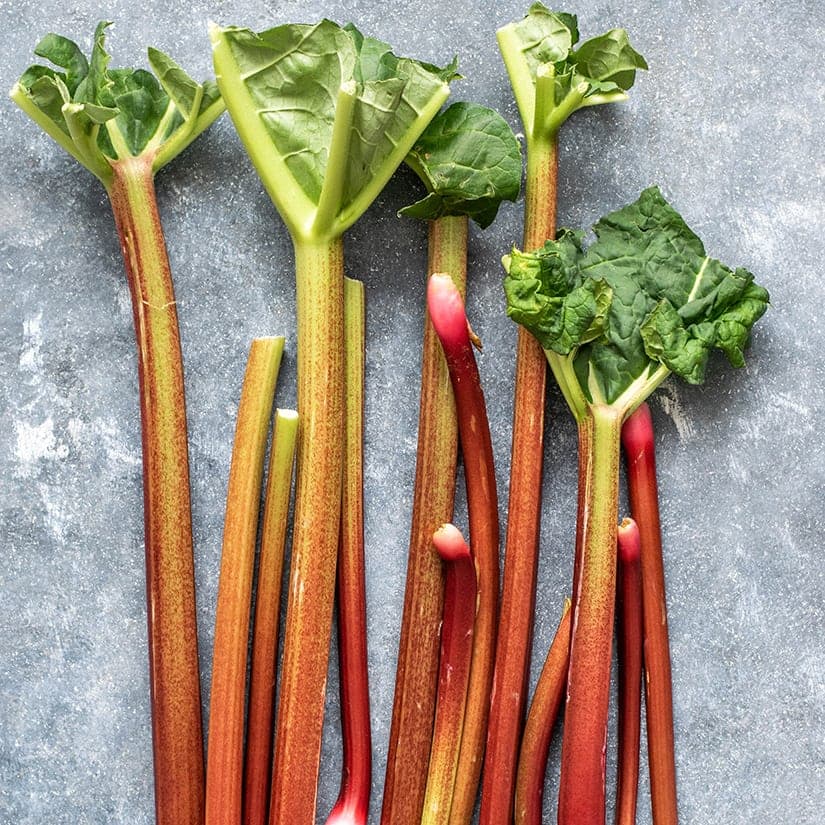 5 trucs sur la rhubarbe