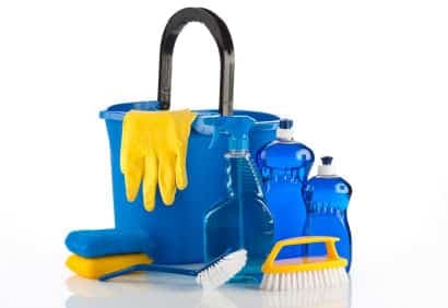 Acariens : petites bêtes aux effets indésirables