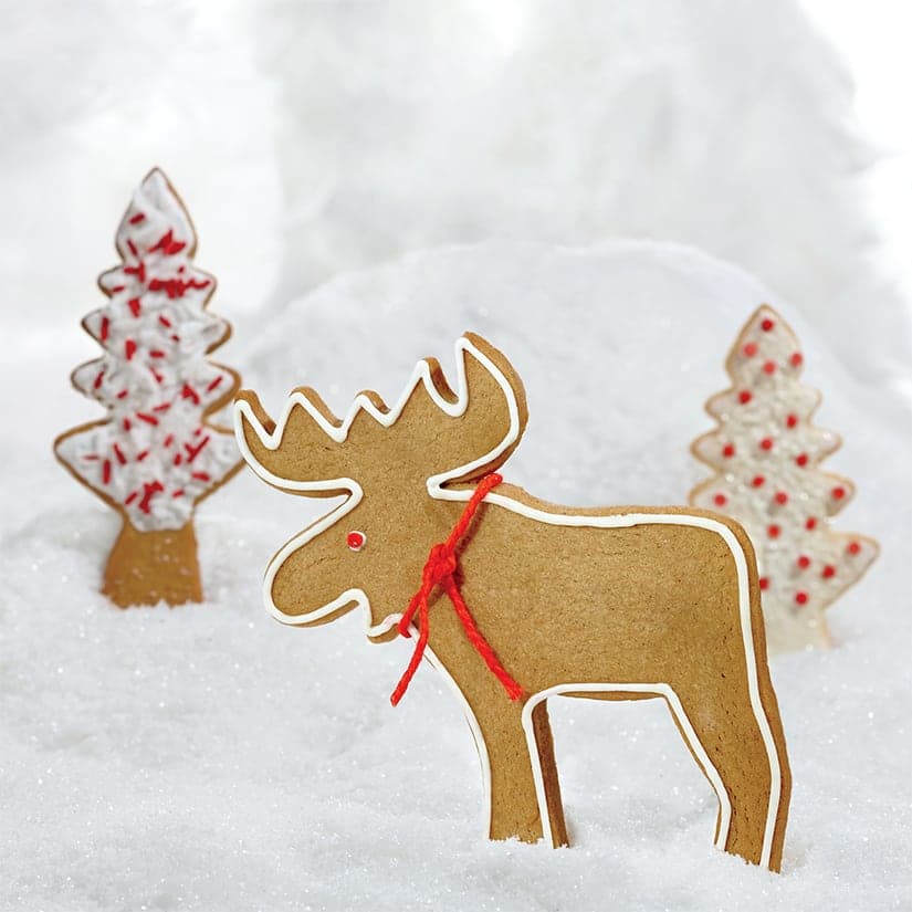 L'art de glacer des biscuits