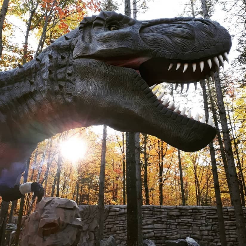 Safari dino familial pour cet été