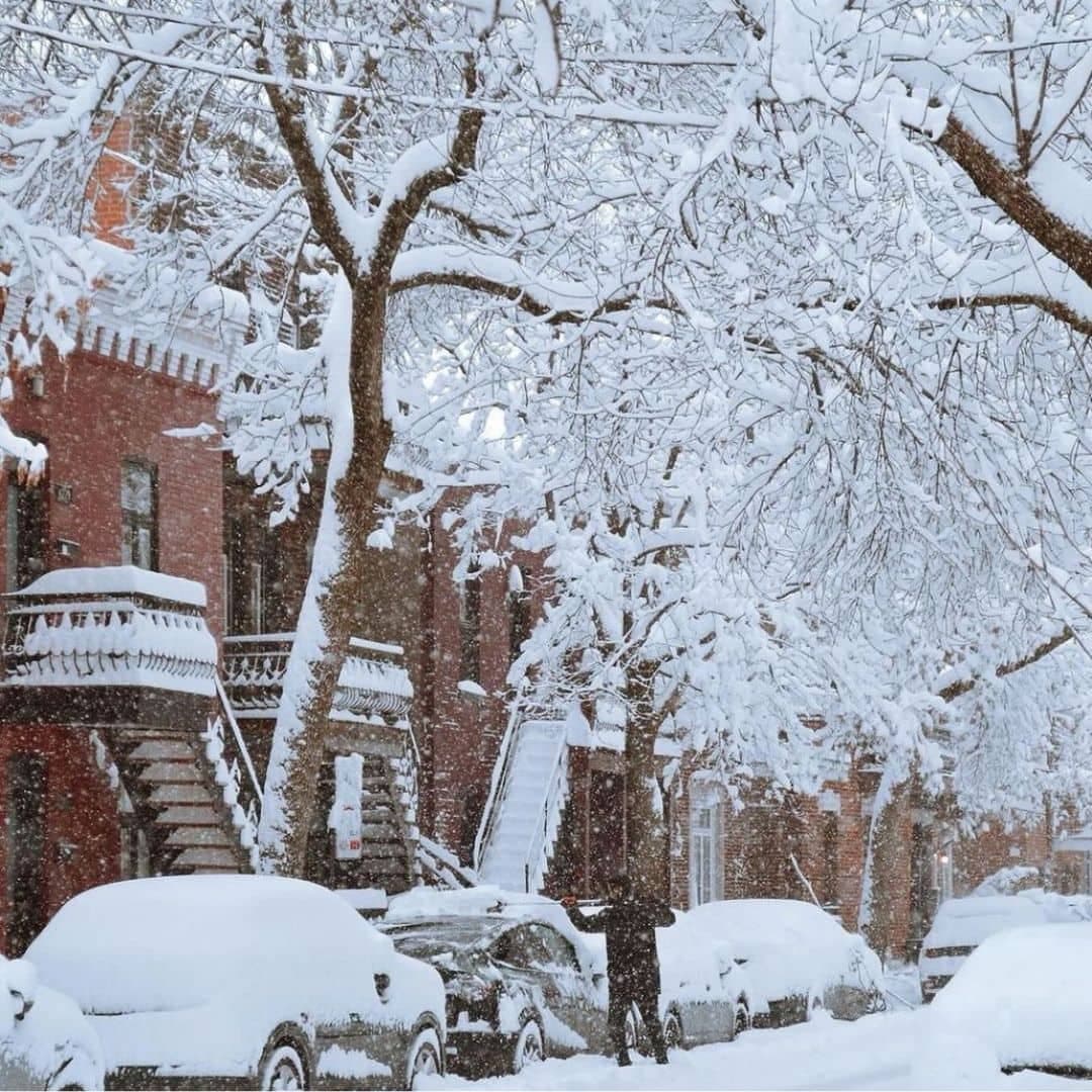 Apprendre à apprécier l’hiver: 12 trucs et astuce