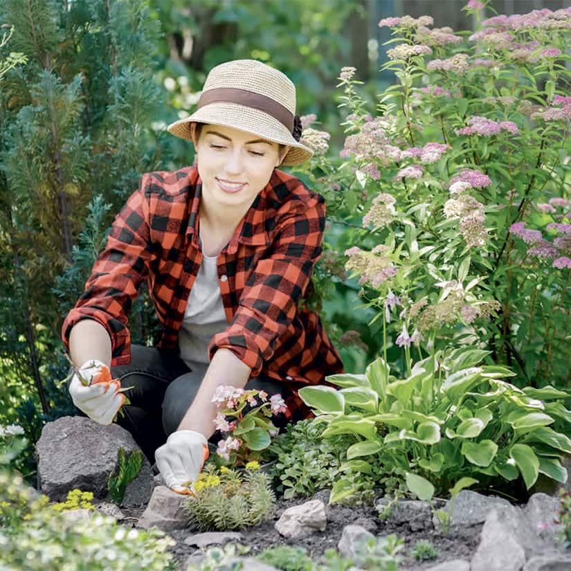 11 conseils pour venir à bout des mauvaises herbe