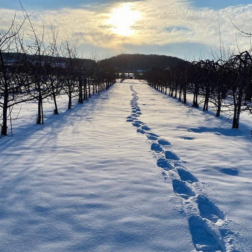Verger de randonnée en raquettes gratuite l'hiver