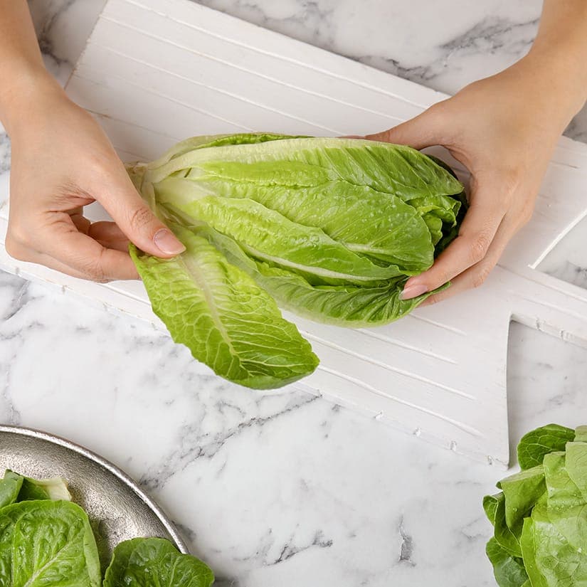 Garder sa laitue fraîche : 5 astuces infaillibles