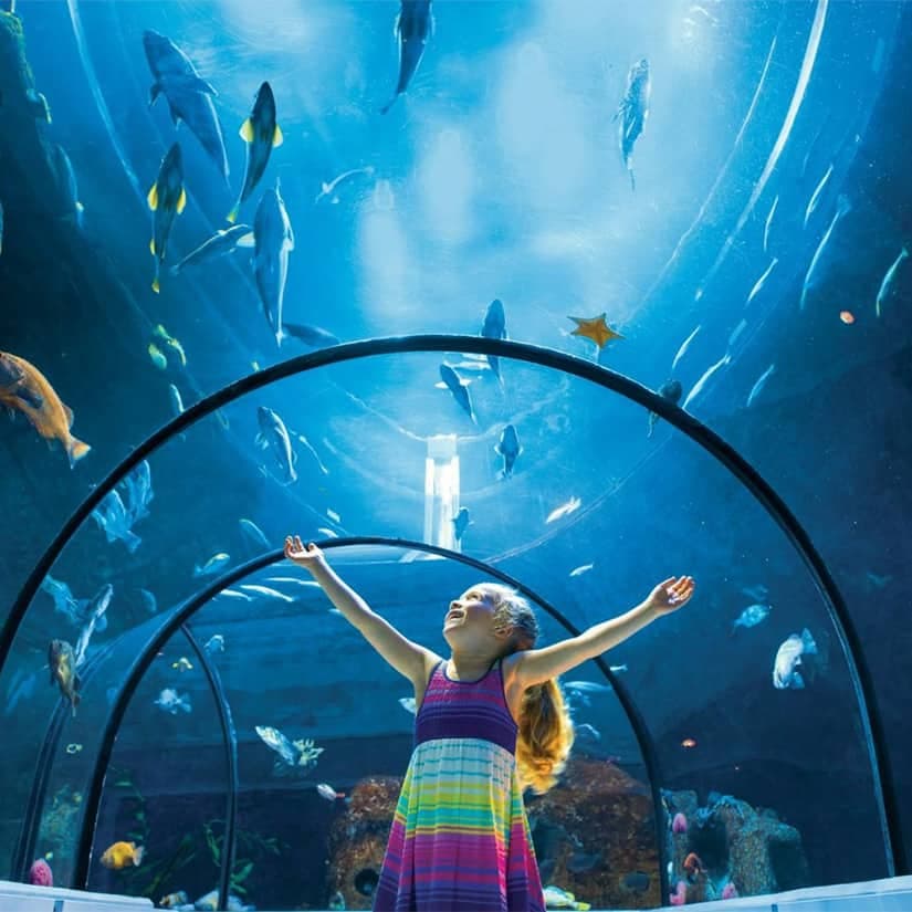 11 lieux familiaux ouverts pour l'hiver