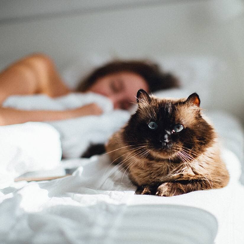 6 signes de manque de sommeil réparateur