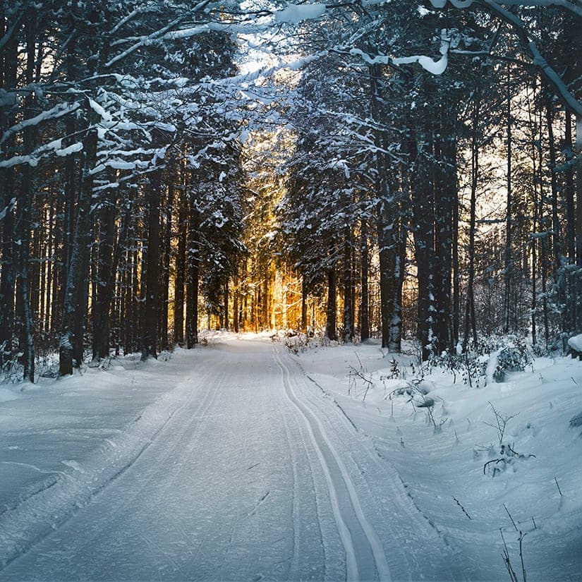 5 activités à faire entre Noël et le jour de l’An