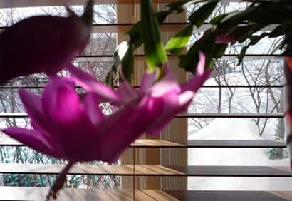 Créez votre bonheur avec des images charmantes