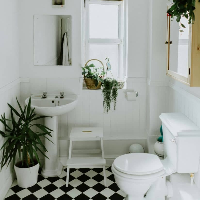 Objets salle de bain à laver contre les virus