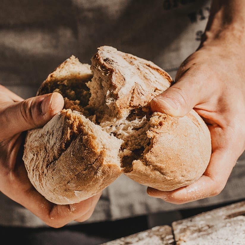 Pains sans pétrissage blé entier, fromage et thym