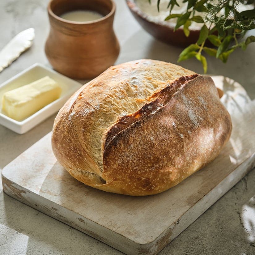 Pains blancs sans pétrissage au fromage et au thym