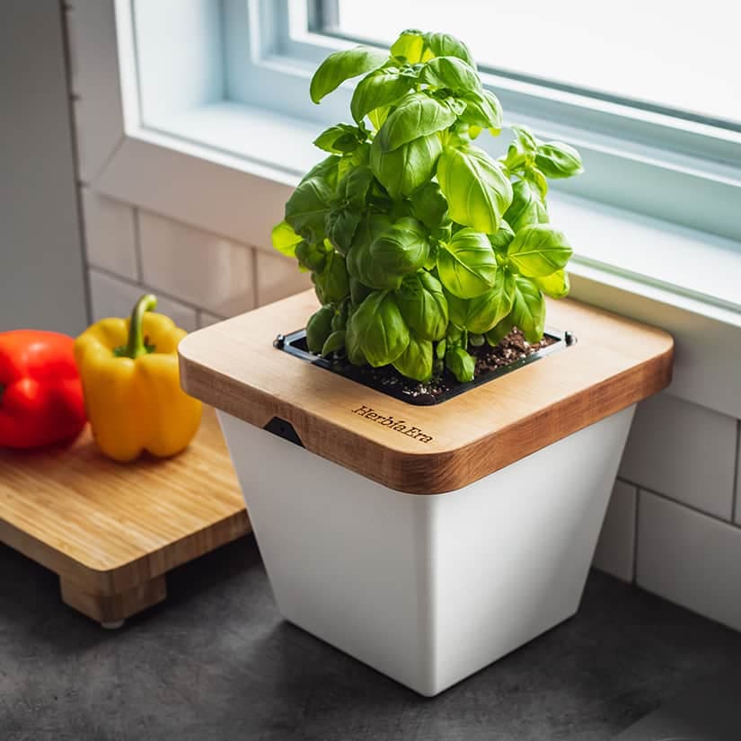 HerbiaEra : jardinière intelligente québécoise