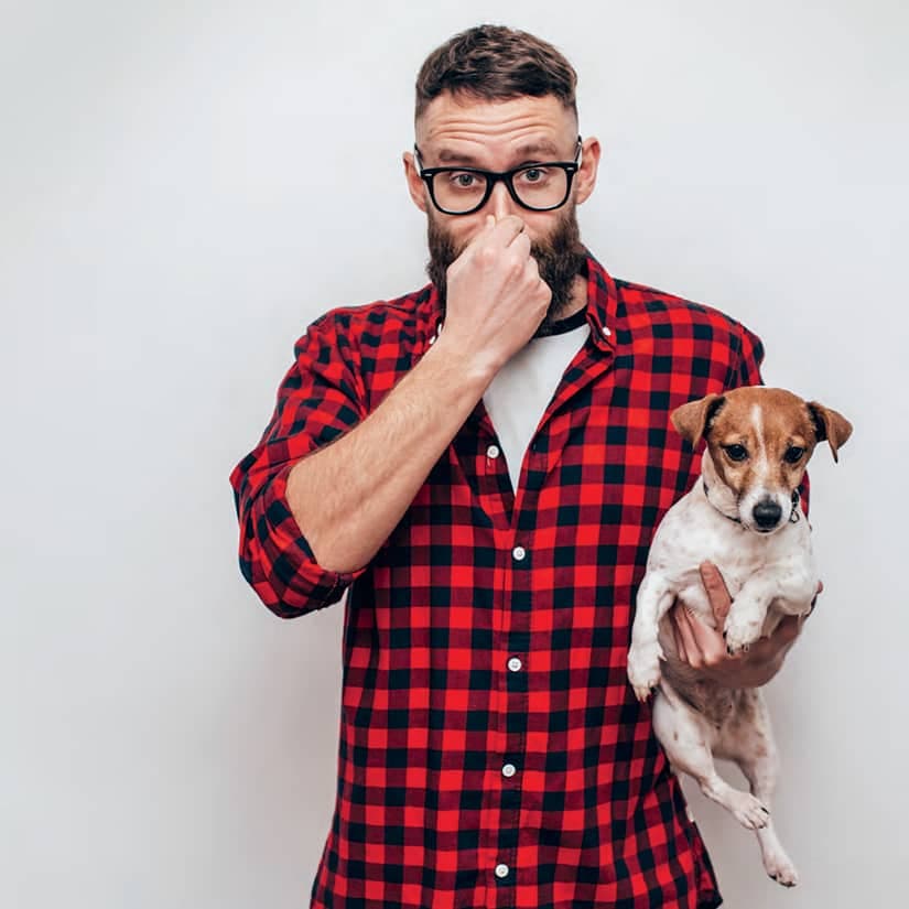 Comment faire disparaître l'odeur de moufette