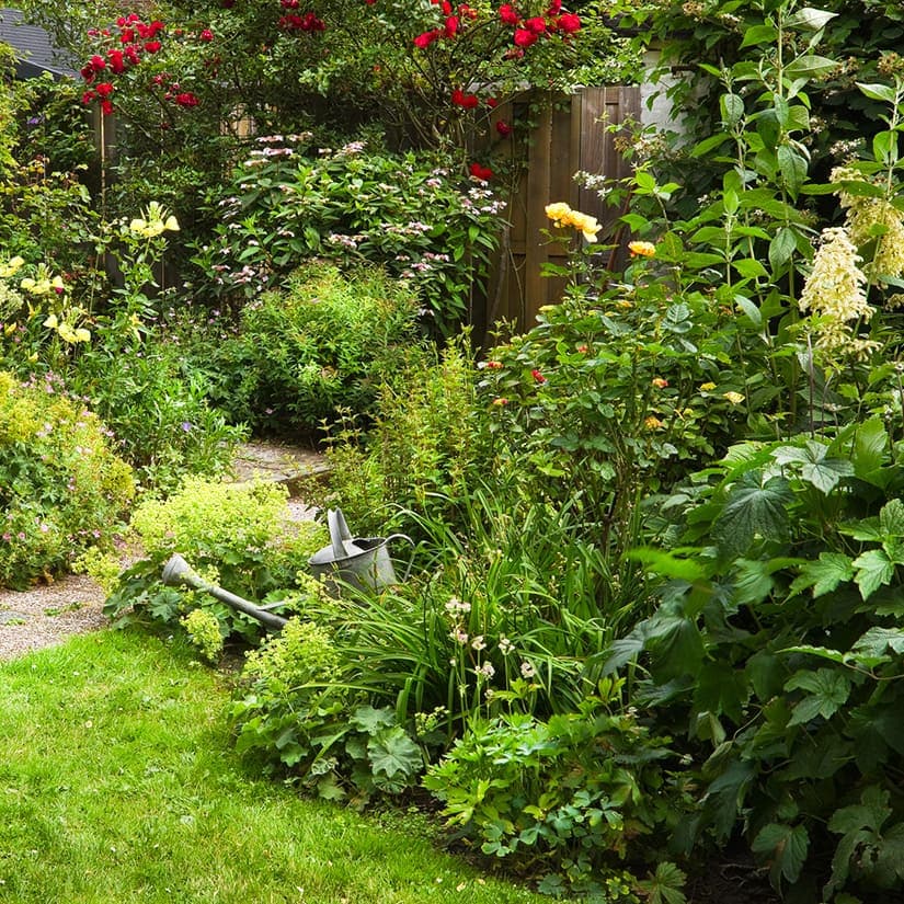 7 trucs pour un jardin sans entretien