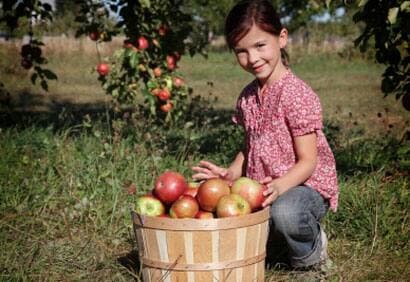 3 raisons d'aller à Rougemont