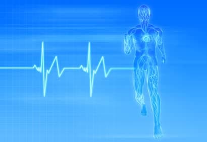 Effets des dimensions du coeur sur la santé