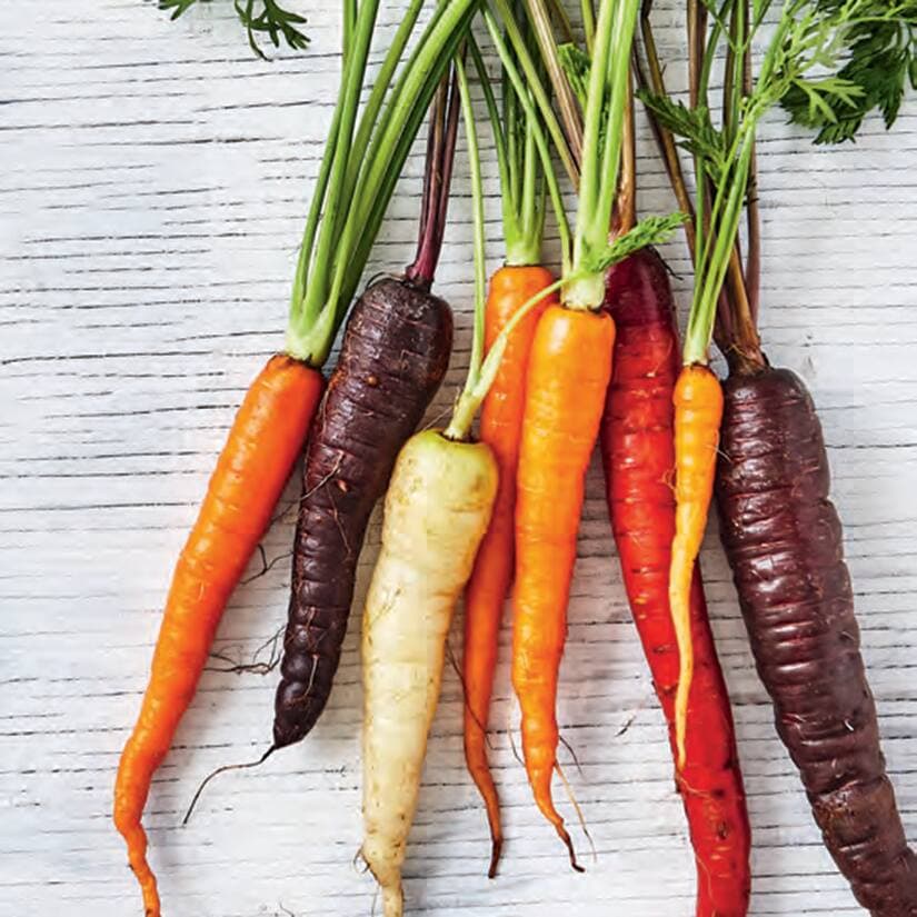 5 choses à savoir sur la carotte