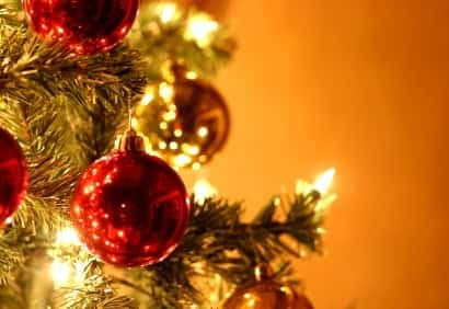 Comment choisir son sapin de Noël