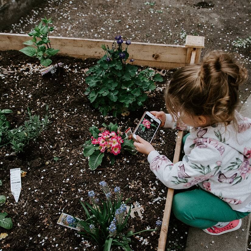 Entretenir ses plates-bandes : 4 astuces estivales