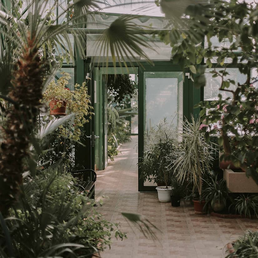 Pépinières Rive-Sud : de belles plantes