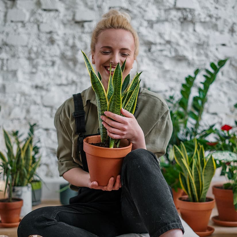 Voici quand sortir vos plantes à l'extérieur
