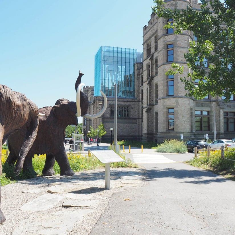 Musée canadien de la nature, un incontournable !
