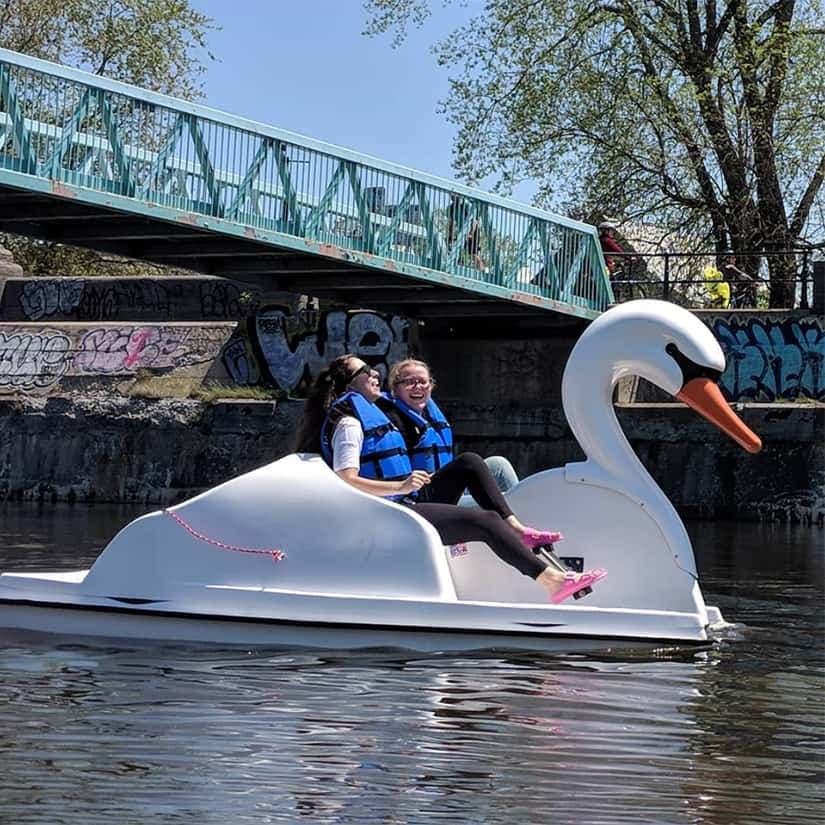 Pédalos cygnes: sorties familiales sur le canal