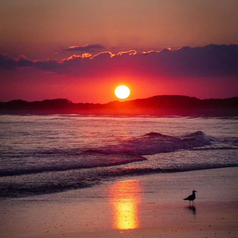 6 villes américaines pour vos vacances à la plage