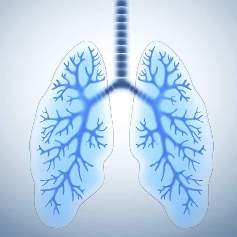 Érythème infectieux / 5e maladie