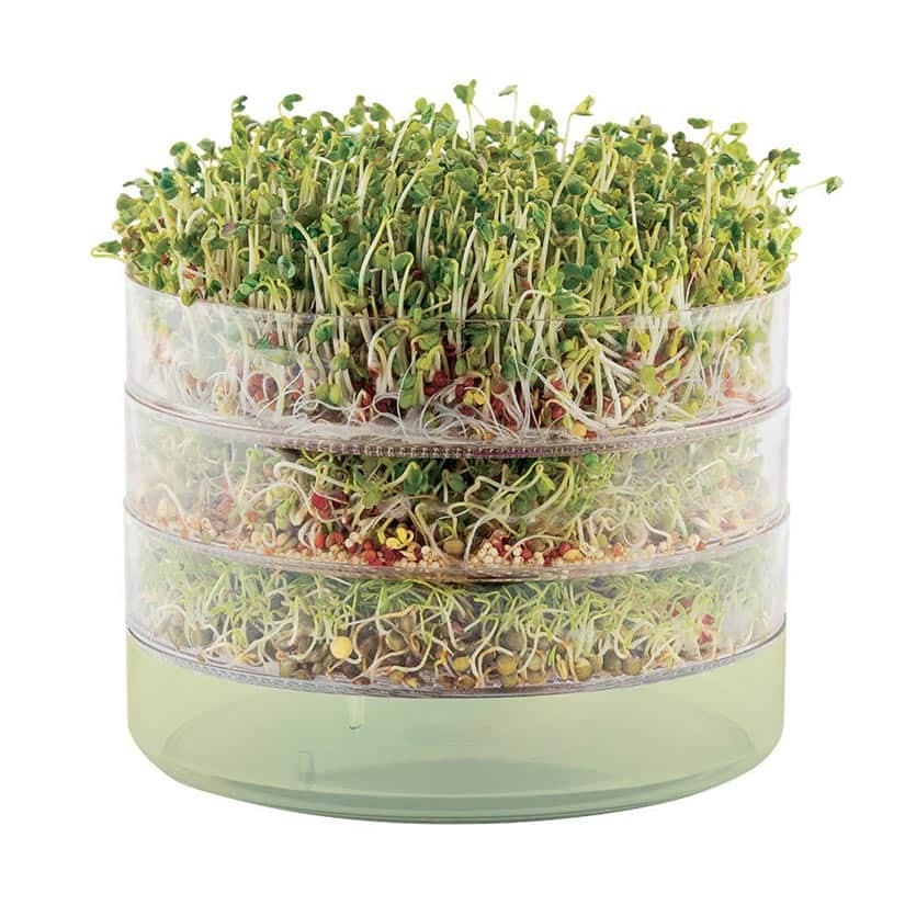 10 accessoires pour cuisiner végétarien