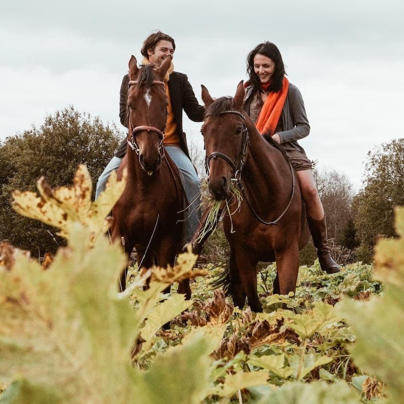 5 endroits où faire de l’équitation cet automne