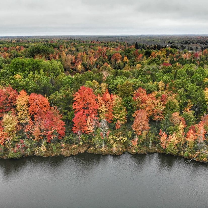 Carte couleurs : préparez vos randos d'automne
