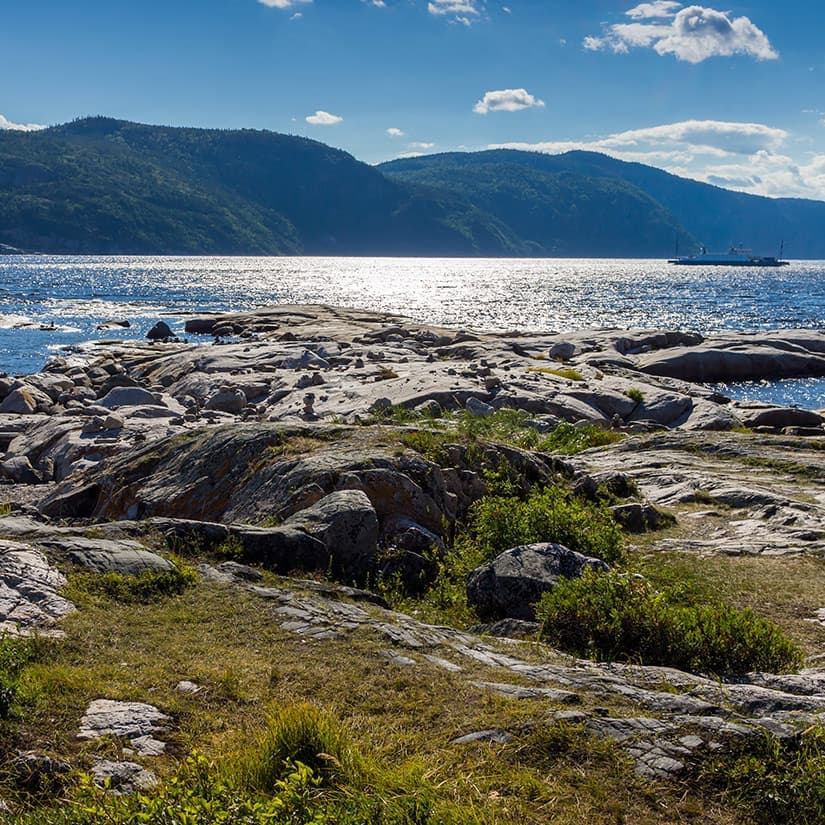 11 activités incontournables à Tadoussac