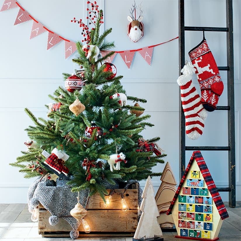 Recyclage original d'un sapin de Noël traditionnel