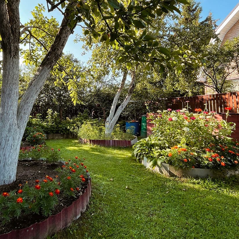 10 idées pour enjoliver la cour