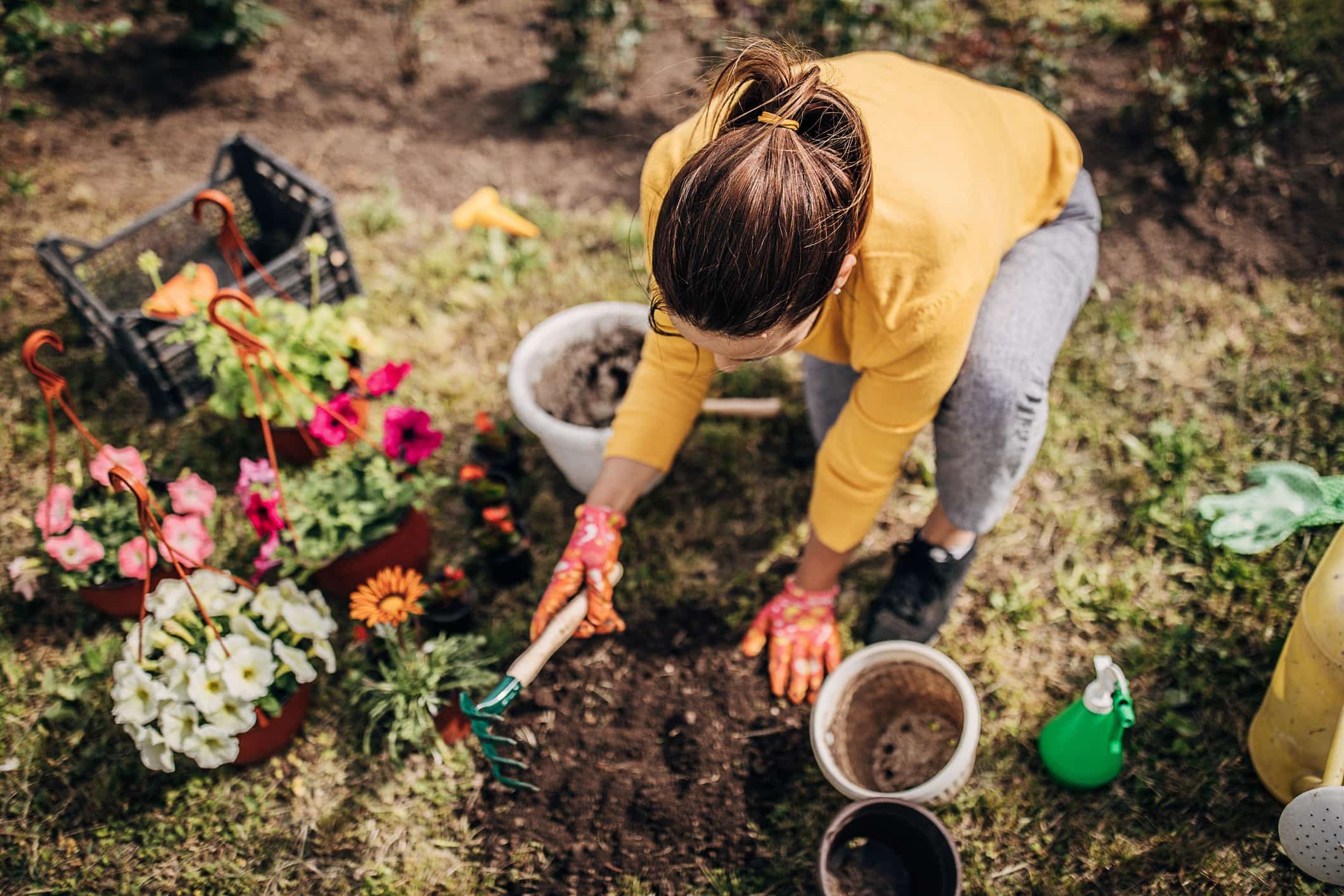L'art du jardinage : petit guide pratique