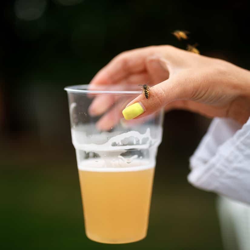 Soulager les piqûres de guêpes : le secret