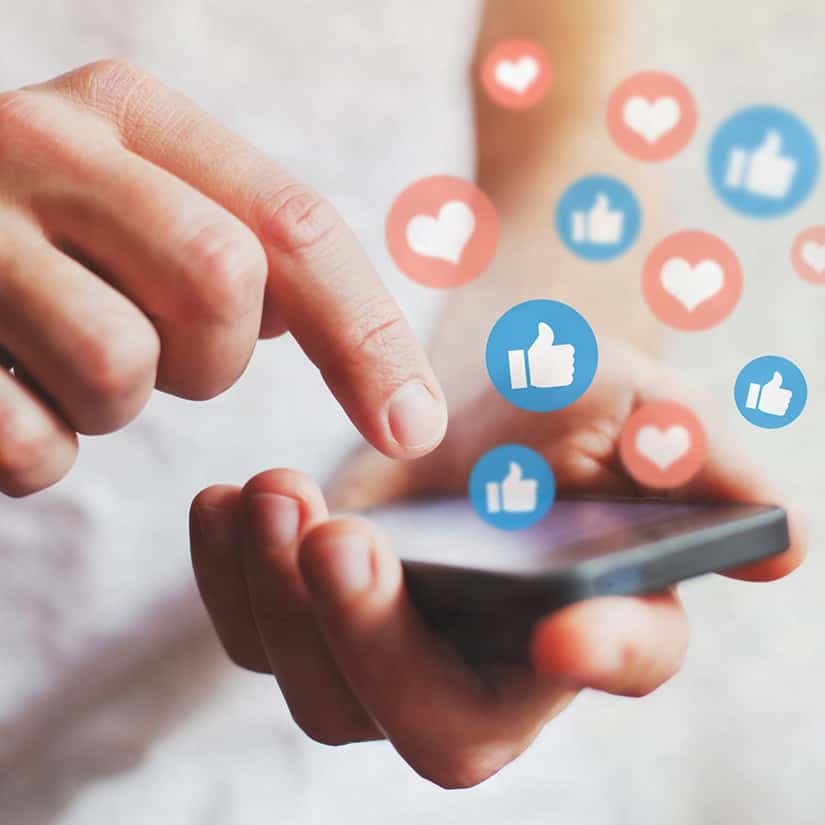 Le phénomène des vidéos de cruauté animale