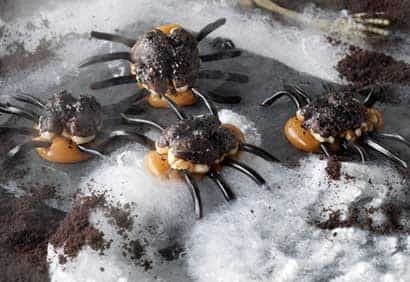 Araignées aux noix