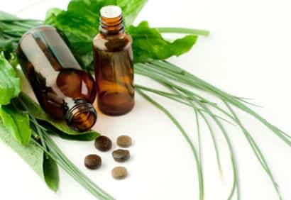 La phytothérapie: est-ce pour nous?