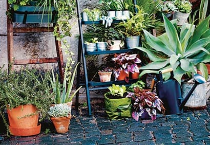 13 objets pour le jardin