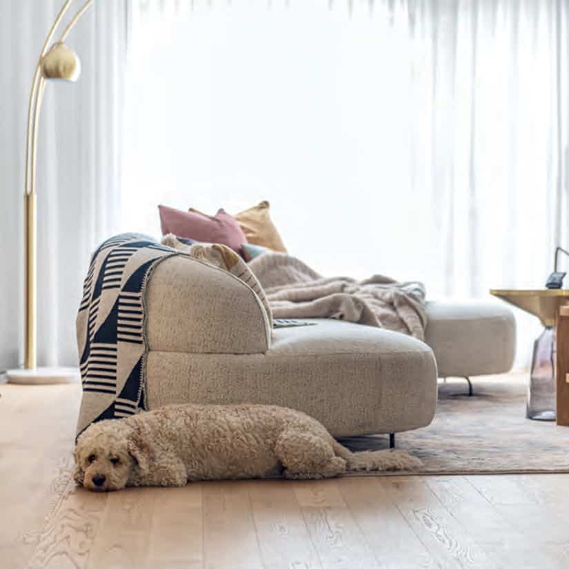 Une maison au style épuré mid century modern