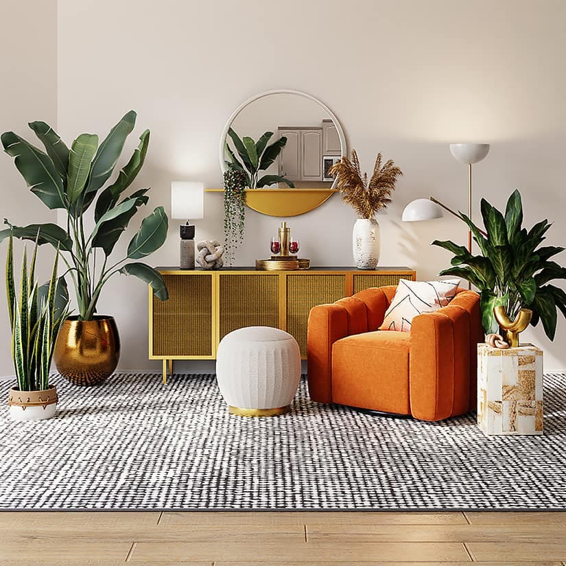 5 plantes qui absorbent l’humidité de la maison