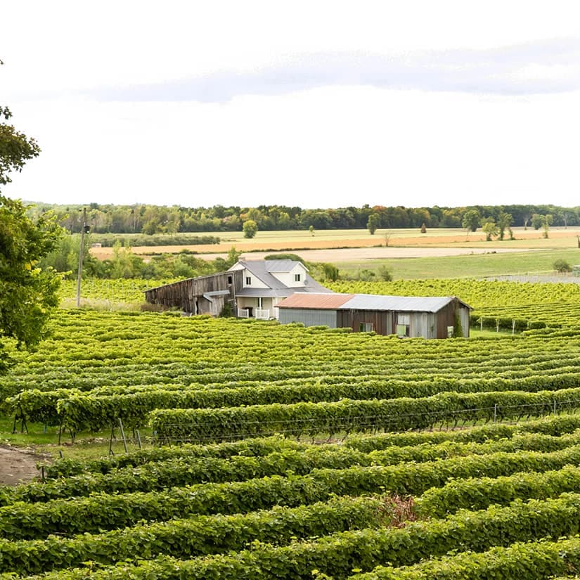 Découvertes insolites autour d'Oka, hors plage