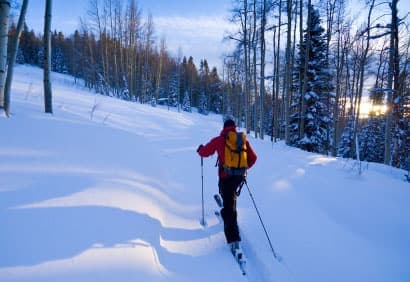 Programme cardio et perte de poids