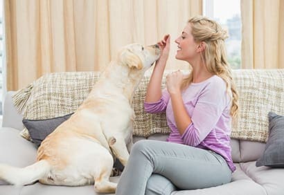 5 jeux d'intérieur pour chiens