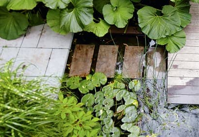 Un jardin de style japonais