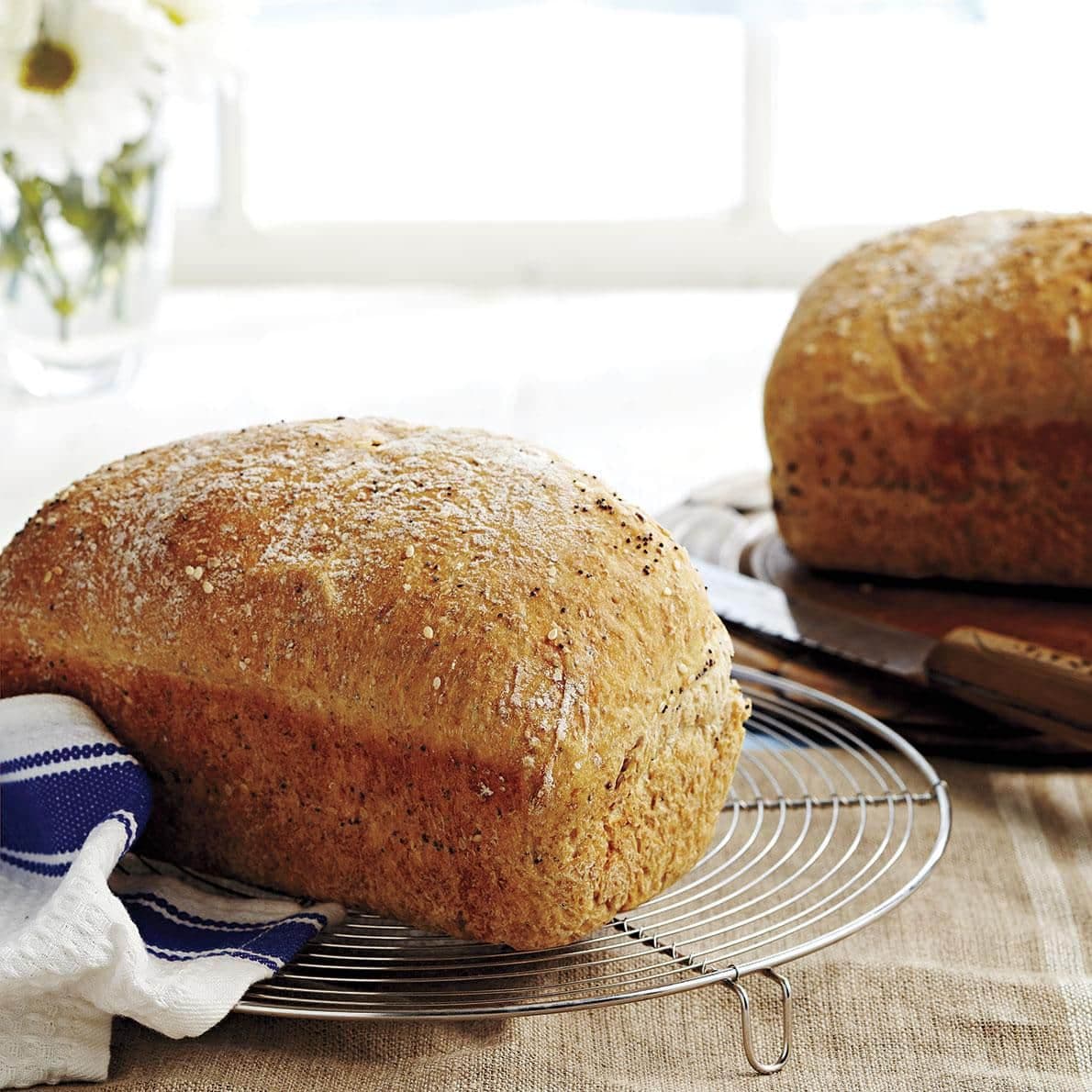 Pains de blé entier sans pétrissage