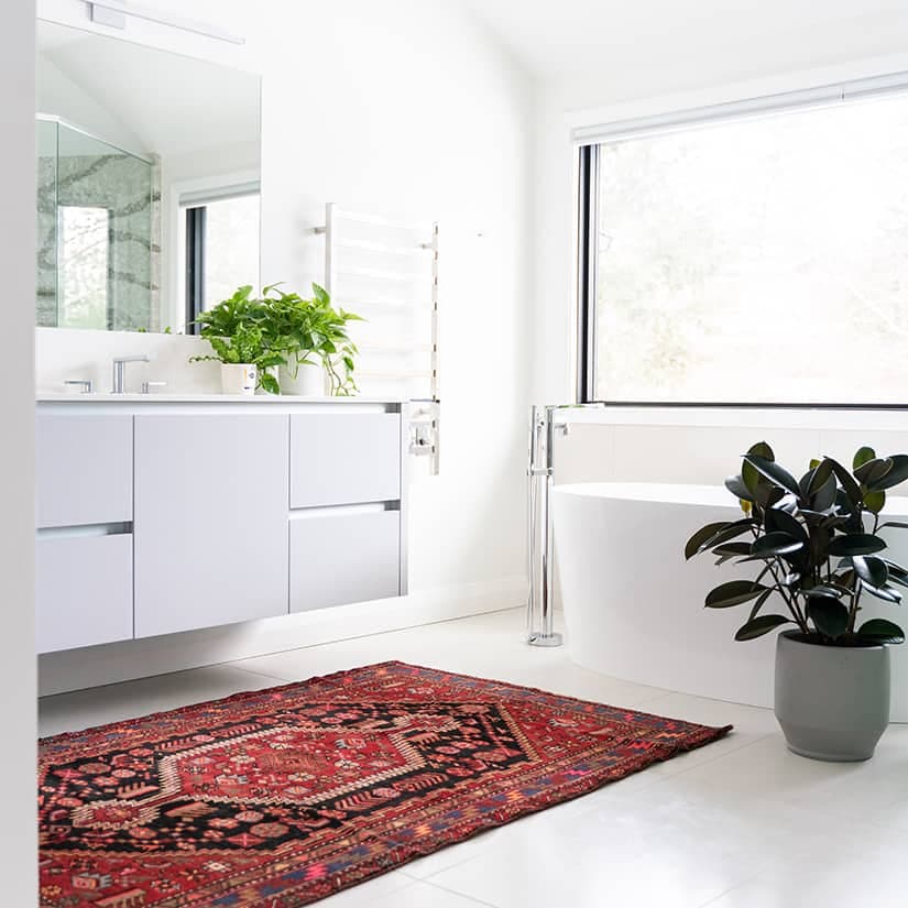 5 plantes parfaites pour décorer une salle de bai