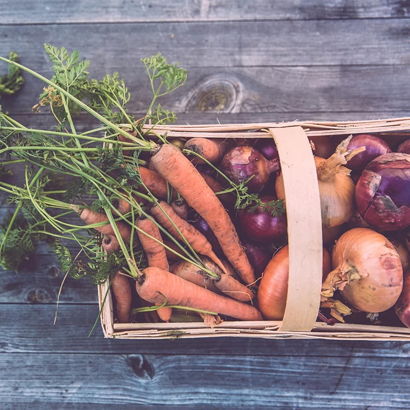 Éviter ce voisinage dans votre potager